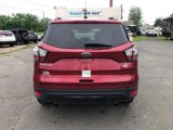 Used 2018 Ford Escape SE w/ SE Sport Appearance Package image 6