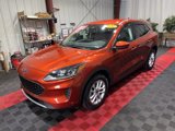 Used 2020 Ford Escape SE image 3