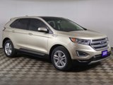 Used 2017 Ford Edge SEL w/ Equipment Group 201A image 2