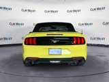 Used 2021 Ford Mustang Premium image 4