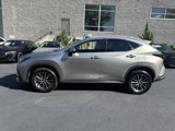 Used 2023 Lexus NX 350 AWD w/ Premium Package image 6