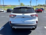 Used 2020 Ford Escape SE image 4