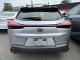 Used 2023 Lexus UX 250h AWD w/ Premium Package image 2