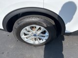 Used 2022 Ford Escape SE w/ Cold Weather Package image 4