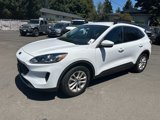 Used 2020 Ford Escape SE image 2