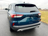 Used 2020 Ford Escape SE image 6