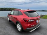 New 2025 Ford Escape Active w/ Tech Pack #1 image 5