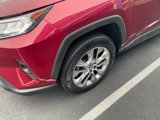 Used 2021 Toyota RAV4 XLE Premium image 4