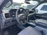 Used 2023 Ford F150 XL w/ XL Chrome Appearance Package image 3