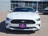 Used 2022 Ford Mustang Convertible w/ Equipment Group 101A image 4