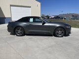 Used 2017 Ford Mustang Premium image 3