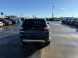 Used 2017 Ford Escape Titanium image 6