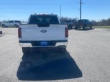 New 2025 Ford F150 XL image 4