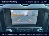Used 2017 Ford Mustang Premium image 4