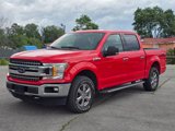 Used 2019 Ford F150 XLT w/ Equipment Group 302A Luxury image 4