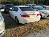 Used 2014 Honda Accord Sport image 2