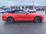 Used 2022 Ford Mustang Premium image 3