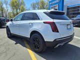 Used 2020 Cadillac XT5 Premium Luxury image 3