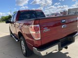 Used 2014 Ford F150 XLT w/ Equipment Group 302A Luxury image 6