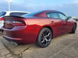 Used 2020 Dodge Charger SXT w/ Blacktop Package image 4