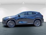 Certified 2022 Lexus NX 350 AWD w/ Premium Package image 4