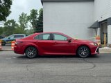 Used 2024 Toyota Camry XLE w/ Navigation Package image 2