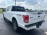 Used 2016 Ford F150 XLT w/ Equipment Group 302A Luxury image 6