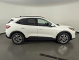 Used 2022 Ford Escape SEL image 5