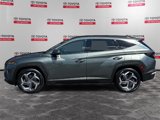 Used 2023 Hyundai Tucson Limited image 2