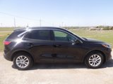 Used 2021 Ford Escape SE image 5