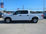 Used 2016 Ford F150 XLT image 5