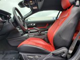 Used 2019 Ford Mustang Premium w/ Equipment Group 201A image 5