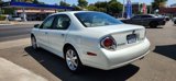 Used 2002 Nissan Maxima GLE image 3