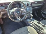 Used 2017 Ford Mustang Convertible w/ Equipment Group 051A image 5