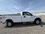 Used 2014 Ford F150 XLT image 5