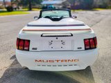 Used 1999 Ford Mustang Cobra image 4