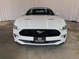 Used 2023 Ford Mustang Premium image 2