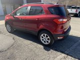 Used 2019 Ford EcoSport SE w/ SE Convenience Package image 5
