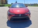 New 2025 Toyota Corolla LE image 2