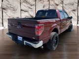 Used 2010 Ford F150 XLT image 5