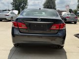 Used 2010 Lexus ES 350 image 6
