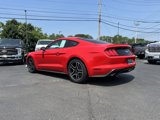 Certified 2020 Ford Mustang Premium w/ Equipment Group 201A image 4