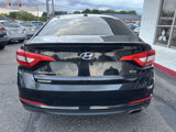 Used 2015 Hyundai Sonata ECO image 5