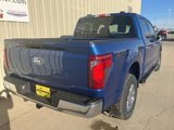 New 2025 Ford F150 XLT w/ Equipment Group 301A Standard image 4