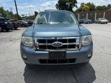 Used 2011 Ford Escape XLT w/ 203A Rapid Spec Order Code image 2