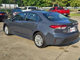 Certified 2025 Toyota Corolla LE image 3