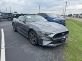 Certified 2022 Ford Mustang Premium image 4