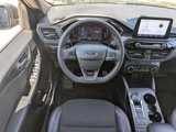 Used 2024 Ford Escape ST-Line image 4