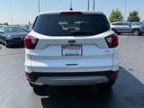 Used 2019 Ford Escape SE image 5