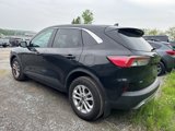 Used 2022 Ford Escape SE w/ Cold Weather Package image 2